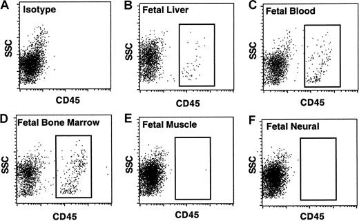 Fig. 2. Human chimerism in the tissue of immune-deficient mice that received intravenous transplants of human fetal tissues. / Comparison of human hematopoietic chimerism from hematopoietic and nonhematopoietic sources. Scatterplots show FACS analysis of mouse BM stained with the pan-leukocyte marker CD45 for the detection of human hematopoietic cells (gated box) after transplantation with isotype control (A), fetal blood (B), fetal liver (C), fetal BM (D), fetal muscle (E), and fetal neural cells (F). Cell doses ranged between 2 × 106 and 5 × 106 to up to 15 × 106 for muscle and neural transplants (n = 43).