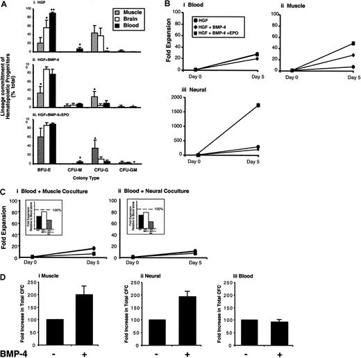 Fig. 5. Comparative analysis of human hematopoietic-, muscle-, and neural-derived hematopoietic progenitors. / Human tissues indicated were harvested under identical conditions, and functional hematopoietic progenitor capacity was evaluated at day 0 (de novo–isolated tissues) and again at day 5 of culture in HGF conditions with or without BMP-4 or BMP-4 together with EPO. (A) Developmental potential of hematopoietic progenitors was compared among various human tissues by enumerating colony types as a measure of hematopoietic lineage commitment that include erythroid (BFU-E), monocytic (CFU-M), granulocytic (CFU-G), and myelocytic (CFU-GM). Composition of CFU types generated for each tissue is expressed as mean percentage ± SEM (n = 5) of the total colonies for muscle (gray), neural (white), and blood (black) cells cultured in essential media containing HGF (i), BMP-4 (ii), or BMP-4 and EPO in combination (iii). Single and double asterisks indicate substantial differences within measured groups ofP < .01, (n = 5). (B) Fold changes in total hematopoietic progenitor expansion was compared in response to culture conditions indicated and compared with day 0 of cultured fetal blood (i), muscle (ii), and neural (iii) cells. Each graph shows the increase in progenitors after culture in essential media containing HGF (●), BMP-4 (♦), or BMP-4 and EPO (▪). (C) Fold expansion of fetal blood cultured for 5 days in the absence or presence of cells derived from fetal muscle (i) or fetal neural (ii) tissue using cytokine combinations indicated. Cells were cocultured using 5.0 × 105 fetal blood cells to equal numbers of fetal muscle or neural cells to maintain the same cell density used in previous experiments shown in panel B. Insets show the relative fold expansion to fetal blood cells cultured alone compared with the various coculture treatments. (D) Hematopoietic progenitors assayed from single cells suspensions of muscle (i), neural (ii), and blood (iii) in the absence or presence of BMP-4 directly added to methylcellulose used in this clonal assay. Graphs show number of clonogenic progenitor of de novo–isolated tissues in the absence of BMP-4 (control) shown standardized as 100% and in the presence of BMP-4 as a percentage relative to control ± SEM. Results are based on a total of 5 independent samples.