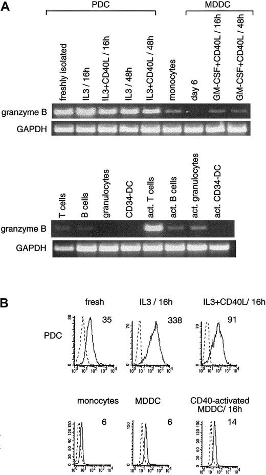 Fig. 4. High levels of granzyme B mRNA in PDC and activated T cells. / (A) RT-PCR (35 cycles) was performed using granzyme B–specific oligonucleotides (amplifying a product of 676 bp). Granzyme B is weakly expressed on monocytes, activated MDDCs, B cells, and granulocytes. Results are representative of 1 of 4 experiments. (B) FACS analysis expression of intracytoplasmic granzyme B protein (solid lines) versus isotype-matched control (dashed line). Mean fluorescence intensity of granzyme B staining minus that obtained with the isotype matched control is indicated. Granzyme B protein was clearly detected on PDCs (activated or not) and was weakly expressed in blood monocytes and MDDCs.