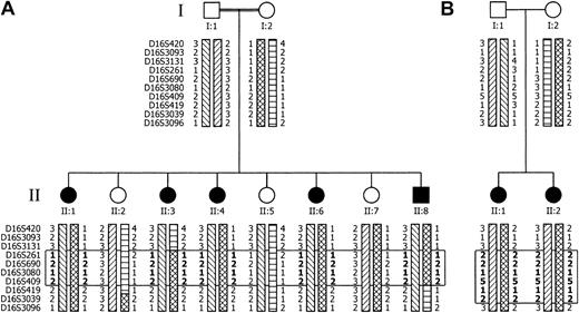 Fig. 2. Pedigrees of FMFD families with informative haplotypes from selected markers. / For clarity, only a subset of additional markers between the backbone markers of Figure 1 is shown. The open rectangle demarcates the candidate gene region, which comprises only homozygous markers. Markers in the rectangle, presumably inherited identical by descent (IBD), are denoted in bold. The 4 parenteral haplotypes are indicated by the various box patterns. Combination of 2 box patterns in one haplotype indicates a recombination event. Family A (panel A) is of Lebanese origin; the parents are first-degree cousins. Haplotype analysis implies a heterozygous carrier state for individuals II:5 and II:7. However, this cannot be proven since the biochemical assay does not differentiate between wild-type and heterozygous carrier. The nuclear family B (panel B) originates in Germany and parents claim to be not related, although their ancestors lived in neighboring villages.
