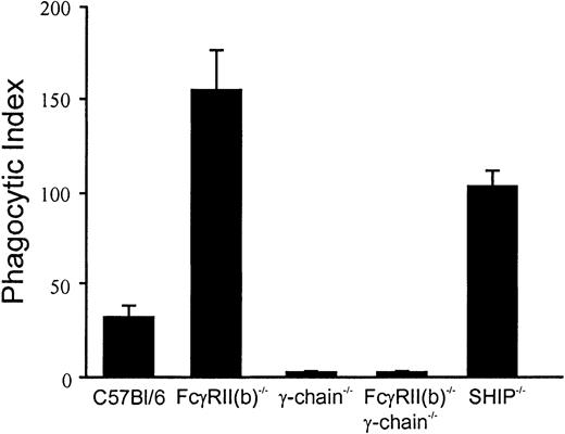 Fig. 1. Phagocytosis assay using BMMs from gene-targeted mice. / Fluorescent IgG-opsonized RBCs were incubated with BMMs from gene-targeted mice indicated at a ratio of 20:1. Internalized IgG-RBCs were counted under a fluorescence microscope. The results were expressed as the number of the internalized IgG-RBCs per 100 BMMs (phagocytic index). Results shown are the average of duplication and are representative of 2 independent experiments.