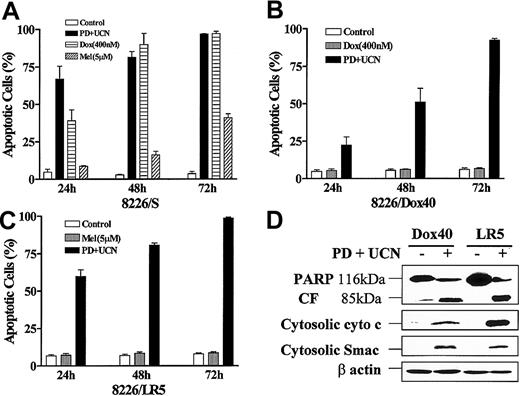 Fig. 8. MM cells resistant to doxorubicin or melphalan retain full sensitivity to UCN-01/PD184352. / Logarithmically growing parental 8226 cells (8226/S; A), a doxorubicin-resistant cell line (8226/Dox40; B), and a melphalan-resistant line (8226/LR5; C) were exposed to 10 μM PD184352 + 150 nM UCN-01, 400 nM doxorubicin (Dox), or 5 μM melphalan (Mel) for 24 to 72 hours, after which the percentage of apoptotic cells was determined by examining Wright-Giemsa–stained cytospin preparations as described in “Materials and methods.” Values represent the means ± SD for 3 separate experiments performed in triplicate. (D) 8226/Dox40 and 8226/LR5 cells were exposed to PD184352 + UCN-01 as above for 48 hours and 24 hours, respectively, after which Western blot analysis was employed to monitor degradation of PARP into an 85-kDa fragment (CF) or release of cytochrome c and Smac/DIABLO into the cytosolic S-100 fraction as described above. Lanes were loaded with 30 μg of protein; blots were subsequently stripped and reprobed for expression of β actin to ensure equivalent loading and transfer of protein. The results of a representative experiment are shown; an additional study yielded equivalent results.