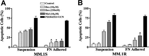 Fig. 10. Fibronectin-adhered MM cells remain sensitive to UCN-01/PD184352–induced apoptosis. / MM.1S and MM.1R cells were seeded into 96–well plates coated with fibronectin, and cells remaining in suspension removed as described in “Materials and methods.” Adherent cells and cells in suspension were separately exposed to 250 nM doxorubicin (Dox), 10 μM melphalan (Mel), 10 μM dexamethasone (Dex), or 10 μM PD184352 + 150 nM UCN-01 for 24 hours, after which the extent of apoptosis was determined by evaluating Wright-Giemsa–stained cytospin preparations as described previously. Values represent the means ± SD for 3 separate experiments performed in triplicate. * indicates data values are significantly less than values for cells in suspension; P < .01.