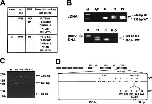 Fig. 1. Detection of the FLT3-LM in exon 20 in AML. / (A) Clinical data and alterations of other molecular markers in the 2 patients carrying the FLT3-840GS mutation. FLT3-LM indicates length mutations in the JM region of FLT3; FLT3D835, mutations in codons 835/836; KITD816, point mutations in codon 816; NRAS, activating point mutations in codons 12, 13, and 61; MLL-PTD, MLL-partial tandem duplication. (B) Detection of the LM in exon 20 after conventional agarose gel electrophoresis of PCR products from cDNA and gDNA. M indicates molecular weight standard; H2O, water control; C, patient without exon 20 mutation; P1 and P2, patients 1 and 2, respectively, with the length mutation in exon 20. (C) Confirmation of the mutation by BamHI digestion after polyacrylamide gel electrophoresis. M indicates molecular weight standard; MT, patient with mutation; WT, 2 patients without mutation; H2O, water control. (D) Schematic presentation of the FLT3-840GS mutation.