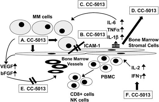 Fig. 1. Mechanisms of action of CC-5013 targeting MM cells and the BM microenvironment. / (A) MM cell G1 growth arrest and apoptosis. (B) Decreased MM cell to BMSC binding. (C) Decreased cytokine activity. (D) Decreased cytokine production in BM. (E) Decreased angiogenesis. (F) Induced host anti-MM immune response.