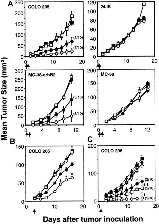 Fig. 3. Enhanced rejection of colon carcinomas in scid mice by scFv-anti-erbB2-CD28-ζ–transduced T cells. / (A) Early treatment of erbB2+ tumors. Growth of the erbB2+ human COLO 205 colon carcinoma cells or mouse MC-38-erbB2 colon adenocarcinoma cells (right flank) and erbB2− 24JK mouse sarcoma cells or MC-38 cells (left flank), respectively, were injected subcutaneously in groups of 5 to 10 scid mice (as described in “Materials and methods”). Mice were injected intravenously with 2 doses (5 × 106) of BALB/c T cells transduced with the pLXSN vector alone (■), scFv-anti-erbB2-ζ chimera (●), or scFv-anti-erbB2-CD28-ζ chimera (○) on day 0 and day 1 after tumor inoculation. The number of tumor eradications is shown in parentheses. Growth of the COLO 205 and 24JK tumors was also evaluated in scid mice receiving no T-cell transfer (▪). (B) Delayed treatment of 3-day established erbB2+tumors. The subcutaneous growth of erbB2+ COLO 205 tumors (right flank) or erbB2−24JK tumors (left flank, not shown) in groups of 5 to 10 scid mice. Mice were injected intravenously with a single dose (107) of BALB/c T cells transduced with the pLXSN alone (■), scFv-anti-erbB2-ζ chimera (●), or scFv-anti-erbB2-CD28-ζ chimera (○) on day 3 after tumor inoculation. Growth of the COLO 205 tumor was also evaluated in scid mice receiving no T-cell treatment (▪). (C) Dose response of transduced T cells. The subcutaneous growth of erbB2+ COLO 205 tumors in groups of 10 scid mice. Mice were injected intravenously with a single dose of 107 (●), 106 (▪), or 105 (▴) T-scFv-anti-erbB2-ζ cells or 107(○), 106 (■), or 105 (▵) T-scFv-anti-erbB2-CD28-ζ cells on day 1 after tumor inoculation. Growth of the COLO 205 tumor was evaluated in scid mice receiving no T-cell treatment (♦). For all experiments, results are represented as the mean tumor size (mm2) ± SEM. Arrows depict the days of T-cell transfer. COLO 205 tumor growth inhibited by T-scFv-CD28-ζ and T-scFv-ζ receptors was statistically compared at similar T-cell doses by Mann-Whitney test (*P < .05, **P < .0001).