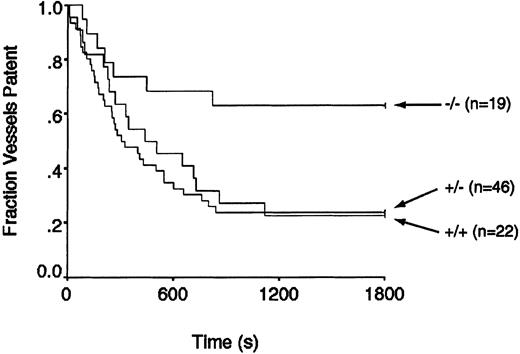 Fig. 1. Effect of PAR3 deficiency on ferric chloride–induced thrombosis in mesenteric arterioles. / Offspring of PAR3 heterozygote crosses were studied. Shown is the fraction of arterioles remaining patent as a function of time after ferric chloride application. The mice were not genotyped until the completion of each experiment. Par3 genotypes and the number of mice studied for each genotype are indicated at right. The effect of genotype on patency was significant by log-rank test (P < .02), and the fraction of vessels patent at 30 minutes in Par3−/− mice versusPar3+/− orPar3+/+ mice was different by χ2 (P < .035).