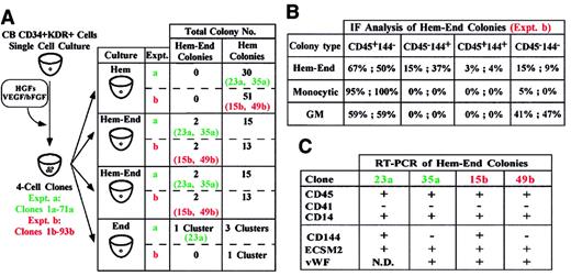 Fig. 3. Growth of hemangioblast siblings in different culture conditions. / (A) Single CB CD34+KDR+ cells generated 4-cell clones. Sibling cells from each clone were seeded in Hem, Hem-End, or End medium (left). In 2 representative experiments (a, clones 1-71; b, clones 1-93) we show the total number of Hem and Hem-End colonies and specify the clones (23a, 35a; 15b, 49b) generating Hem-End or Hem colonies in Hem-End or Hem medium, respectively. One of these clones (23a) generated a small Hem-End cell cluster in End medium. (B,C) Immunofluorescence and RT-PCR analysis of Hem-End colonies generated by a and b clones.