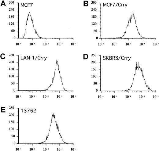 Fig. 1. Flow cytometric analysis of Crry expression. / Stably transfected populations of human tumor cell lines expressing rat Crry were isolated by several rounds of cell sorting. Figure shows analysis of sorted populations used in experiments (A-C). Endogenous expression of Crry on 13762 rat mammary tumor cells is also shown (D). Cells were stained by immunofluorescence using anti–rat Crry monoclonal antibody 5I2. Untransfected MCF7 cells are shown as control, but the same levels of fluorescence were seen with other untransfected cell lines.