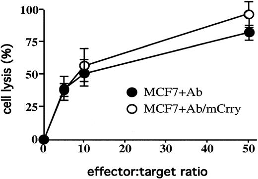 Fig. 8. Expression of mouse Crry on MCF7 cells does not effect susceptibility to mouse NK cell–mediated cytolysis. / MCF7 cells and mouse Crry-transfected MCF7 cells were exposed to purified mouse NK cells at various E/T ratios. Target cells were preincubated in the presence of anti–MCF7 antibody (in the absence of a complement source). Lysis was determined by 51Cr release assay after a 4-hour incubation. The figure shows the experimental means ± SD (n = 3) and is representative of 3 separate experiments.