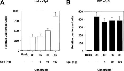 Fig. 8. Overexpression of Sp1 increases transcription from the proximal promoter in HeLa cells, whereas overexpression of Sp3 does not reduce transcription in PC3 cells. / (A) HeLa and (B) PC3 cells were cotransfected with the reporter construct in which the uPA proximal promoter drives luciferase transcription and with expression vectors for Sp1 and Sp3, respectively. (A) Overexpression of Sp1 increases transcription of the luciferase construct in HeLa cells, whereas (B) overexpression of Sp3 does not affect transcription of this construct in PC3 cells.