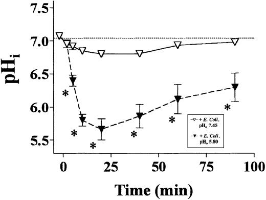 Fig. 3. The effect of an acidic extracellular milieu on pHi in phagocytosing neutrophils. / Isolated human peripheral blood neutrophils (4 replicates from 8 healthy donors) were exposed to opsonized heat-killed E coli(pathogen-to-phagocyte ratio 20:1) in standard HCO3−-buffered RPMI medium (pH 7.45) and a bicarbonate-free HEPES-buffered medium (pH 5.8). pHi was monitored during bacterial ingestion. Cytosolic acidification was significantly greater following phagocytosis in the acidic extracellular medium (P < .001 by 2-way ANOVA). All data mean ± SEM.
