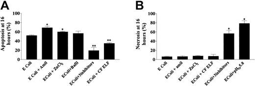 Fig. 6. Perturbations of pHi and the inflammatory milieu alter mechanisms of cell death in phagocytosing neutrophils. / (A) The effects of amiloride (0.2 mM), ZnCl2 (50 μM), bafilomycin (100 nM), and CF ELF (40 μL/mL) on rates of apoptosis at 16 hours in phagocytosing neutrophils (4 replicates from 5 healthy donors) exposed to E coli at a pathogen-to-phagocyte ratio of 20:1. Inhibitors or ELF was added 10 minutes after bacteria. *P < .05; % apoptosis greater than E colialone; **P < .05; % apoptosis less than E coli. Note that bafilomycin did affect apoptosis in neutrophils exposed to lower pathogen-to-phagocyte ratios (see text). (B) The effects of amiloride, ZnCl2, CF ELF, a combination of amiloride plus ZnCl2 plus bafilomycin, and lowering of the extracellular pH on rates of necrosis in the same cells (*P < .005 versus E coli alone).