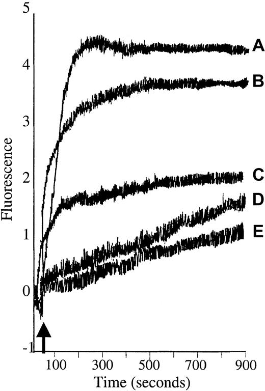 Fig. 3. 1,2-didecanoyl-rac-glycerol (DAG) stimulates calcium influx into Fluo-3/am–loaded RBCs similar to PMA. / Cell suspensions of Fluo-3/am–loaded RBCs were stimulated with (A) 3 μM PMA or (B) 10 μM or (C) 5 μM 1,2-didecanoyl-rac-glycerol dissolved in DMSO, and fluorescence was monitored by fluorescence spectroscopy. Negative controls included (D) 4α-phorbol and (E) DMSO. Tracings representative of 3 different donors are shown. Arrow designates time of addition of stimulus.