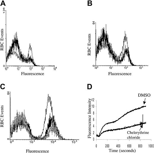 Fig. 4. Kinase inhibition of PMA-induced calcium influx. / Cell suspensions of Fluo-3/am–loaded RBCs were pretreated with (A) 3 μM staurosporine (thick line) or DMSO (thin line), (B) 1 μM K252A (thick line) or DMSO (thin line), and (C) 5 μM chelerythrine chloride (thick line), 10 μM chelerythrine chloride (dotted line), or DMSO (thin line) and then stimulated with 3 μM PMA and assayed for Fluo-3 fluorescence by flow cytometry. All preincubations were carried out for 10 minutes at 22°C. (D) Alternatively, Fluo-3/am–loaded RBCs were pretreated with 10 μM chelerythrine chloride or DMSO for 10 minutes at 22°C and then stimulated with 3 μM PMA and monitored in the fluorescence spectrophotometer as a function of time. Tracings representative of 4 different donors are shown.