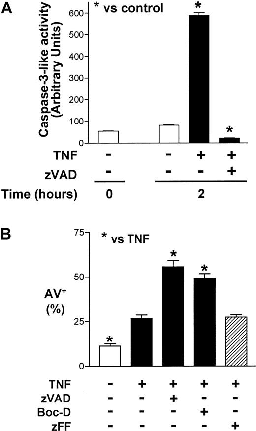 Fig. 3. Broad-spectrum caspase inhibitors but not a cathepsin L–selective inhibitor sensitize neutrophils to TNF-α–induced cell death. / (A) Cleavage of the caspase-3–preferred fluorogenic substrate, Ac-DEVD-AMC, was measured (see “Materials and methods”) in whole-cell lysates prepared from neutrophils preincubated with or without zVAD (100 μM) for 1 hour and then stimulated with or without TNF-α (10 ng/mL) for 2 additional hours. Results shown represent means ± SEM of 3 experiments. *P < .05 compared with unstimulated neutrophils at 2 hours. (B) Neutrophils were preincubated with zVAD (100 μM) or Boc-D (100 μM) or the cathepsin L–selective inhibitor zFF (100 μM) for 1 hour before the addition of TNF-α (10 ng/mL) or an equivalent volume of buffered saline at time 0. Cellular binding of annexin V–FITC (AV+) was subsequently assayed at 6 hours with flow cytometry. Results are means ± SEM of 3 independent experiments. *P < .05 compared with neutrophils stimulated with TNF-α alone.