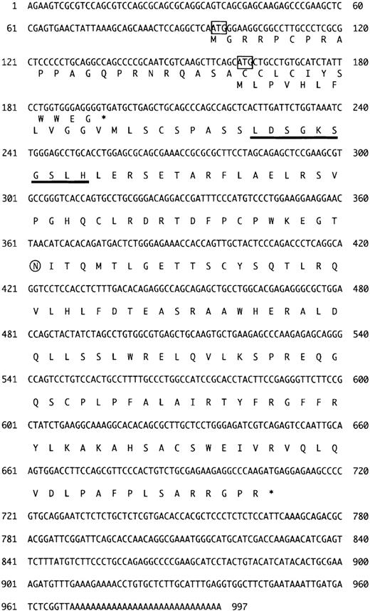 Fig. 1. The genetic organization of the limitin transcript. / cDNA sequence and deduced amino acid sequences of open reading frames translated from the first and second ATGs are shown along with each translational starting codon (boxed). The N-terminal amino acid sequence of the mature protein translated from the second ATG was determined by using amino acid sequencer and shown with a bold underline. The putative N-glycosylation site is circled. The terminal codon is indicated by an asterisk. These sequence data are available from EMBL/GenBank/DDBJ under accession number AB024521.