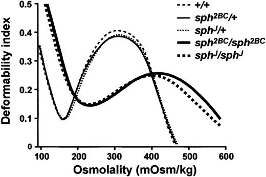 Fig. 4. Osmotic deformability profiles of RBCs from wild-type (+/+), heterozygous (sph2BC/+ andsphJ/+), and homozygous (sph2BC/sph2BC andsphJ/sphJ) mice.