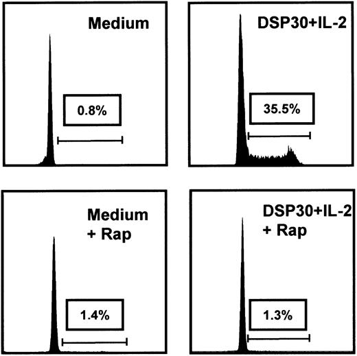 Fig. 2. Rapamycin induces a G1 arrest in cycling B-CLL cells. / Cell cycle analyses were performed after 48 hours' culture in medium or DSP30 and IL-2 with or without rapamycin (Rap) at 50 ng/mL. One representative PI stain from a B-CLL sample is shown; 2 additional experiments gave similar results.