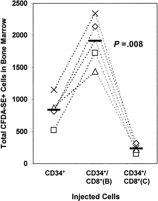 Fig. 3. The requirements for the enhancement of transmigration in vitro also apply in vivo. / Fluorescently labeled CD34+ cells mixed with CD8+ cells that had been pretreated with brefeldin A or cytochalasin D were injected intravenously. Homing to the bone marrow was evaluated by flow cytometry. The solid bars represent mean values. Each data point represents results from an individual mouse. Experiments using cells from the same donor source are linked by dashed lines.