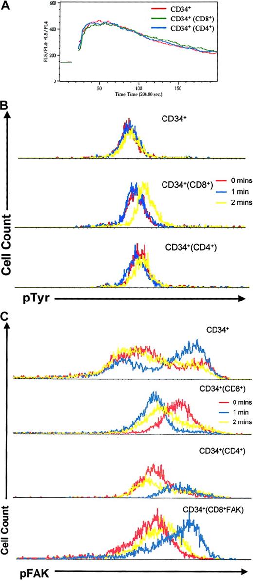 Fig. 5. CD8+ cells alter CXCR4 signaling events in CD34+ cells. / CD34+ cells were incubated alone (red) or with CD8+ (green) or CD4+ (blue) cells. Intracellular signaling events were then measured specifically in CD34+ cells in response to SDF-1α stimulation. (A) Calcium flux. (B) Intracellular levels of phosphotyrosine as measured by staining with anti-TyrP FITC. (C) Intracellular levels of phosphorylated FAK as measured by staining with phospho-FAK goat anti-mouse (GAM) PE at the indicated intervals after addition of SDF-1α. Representative results of 3 independent experiments with consistent results are shown.