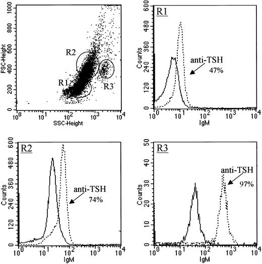 Fig. 1. Intracellular TSH staining of BM cells. / Cells were stained with antimouse TSHβ mAb 1B11. BM populations are shown in the scattergram as lymphocyte precursors (R1), monocyte-macrophage precursors (R2), and granulocyte precursors (R3). Staining is compared to the reactivity of biotin-labeled mouse IgM antibody for each group. Solid lines are reactivities of control antibodies. Data are representative of 3 experiments.