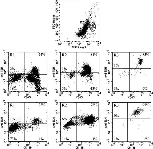 Fig. 2. Characterization of TSH-producing BM cells by intracellular TSH staining with anti-CD45 (leukocyte common antigen) and anti-CD11b. / Nearly all BM cells in regions R1, R2, and R3 (described in the legend to Figure 1) that express intracellular TSH are hematopoietic cells (CD45+) and not stromal cells (CD45−) and are affiliated with a subset of CD11b+ cells. Data are representative of 2 experiments.