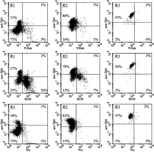 Fig. 3. TSH-producing BM cells are not associated with mature T cells, developing B cells, or Thy-1+ BM cells. / To further characterize the cellular source of TSH within the BM, cells were stained with anti-TCRβ chain mAb as an indicator of mature αβ T cells, with anti-B220 mAb as an indicator of developing B cells, or with anti–Thy-1 mAb because low levels of Thy-1 are expressed on a population of early BM stem cells. Note that in all cell populations (R1, R2, and R3), only a very small percentage of the total intracellular TSH+ cells were mature T cells, developing B cells, or stem cells, further confirming that the primary source of TSH in the BM is a population of CD11b+ cells.