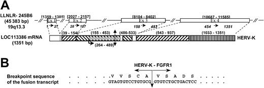 Fig. 1. The HERV-K gene and the t(8;19) breakpoint resulting in HERV-K-FGFR1. / (A) Genomic structure of the HERV-K gene. Double arrow indicates the t(8;19) breakpoint; number ranges in brackets, the exon positions in the LLNLR-245B6 sequence; numbers separated by →, exons in the LOC113386 sequence; ▨, 5′ LTR fragment; ▧, 3′ LTR fragment; ▥, LINE; ░, ORF ENV-Like; number ranges in parentheses: positions of repeats and ORF in the LOC113 386 mRNA. (B) Nucleotide and amino acid sequences around the t(8;19) breakpoint for the resulting fusion product HERV-K–FGFR1.
