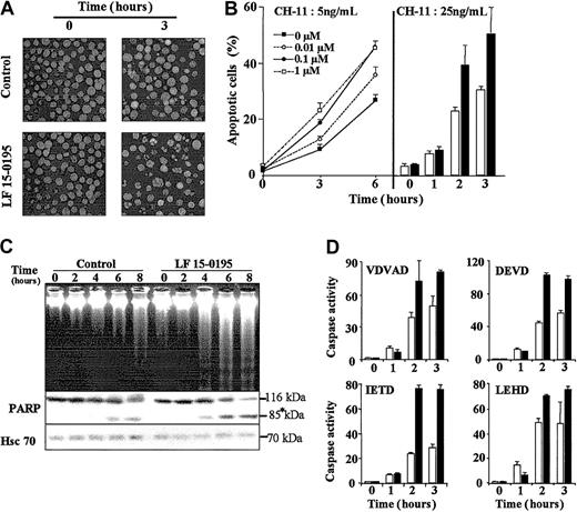 Fig. 2. Influence of LF 15-0195 on Jurkat T-cell apoptosis triggered by an agonistic anti-CD95 Ab. / (A) Hoechst 33342 staining of the nuclear chromatin of Jurkat T cells exposed to either vehicle (control) or LF 15-0195 (0.1 μM) for 3 days, then treated with CH11 anti-CD95 Ab (25 ng/mL for 3 hours). Original magnifications, × 40. (B) A similar experiment was performed with Jurkat T cells exposed to either indicated concentrations (left panel) or 0.1 μM (right panel) LF 15-0195 for 3 days, then treated with indicated concentration of CH11 Ab for various times. (Right panel: ■ indicates control cells; ▪, LF 15-0195–pretreated cells.) Results are expressed as the means ± SD of 3 independent experiments in triplicate. (C) Top panel: agarose gel electrophoresis of DNA from Jurkat T cells exposed to either vehicle (control) or LF 15-0195 (0.1 μM) for 3 days, then exposed to CH11 mAbs (25 ng/mL) for indicated times. Bottom panel: simultaneous analysis of poly(ADP-ribose)polymerase by Western blotting (loading control: Hsc70). Asterisk indicates the cleavage fragments. (D) Caspase activities were explored by studying the cleavage of indicated peptides at indicated times after the beginning of CH11 Ab treatment (25 ng/mL). ■ indicates control cells; ▪, LF 15-0195–treated cells. One representative of 3 independent experiments is shown (means ± SD).
