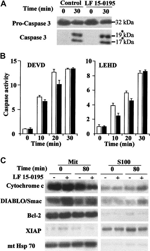 Fig. 3. LF 15-0195 does not influence the postmitochondrial pathway to cell death. / (A-B) Cell-free extracts were obtained from Jurkat T cells exposed to either vehicle or LF 15-0195 for 3 days and treated for indicated times with a cytochrome c (5 μM)/dATP (1 mM) combination before studying caspase-3 cleavage by Western blot. The asterisk indicates the cleavage products (A) and caspase activities by using indicated peptide substrates (B). ■ indicates control cells; ▪, LF 15-0195–treated cells. Error bars indicate means ± SD. (C) Expression of cytochrome c, DIABLO/Smac, XIAP, mitochondrial Hsc70 (mt Hsc70), and Bcl-2 was studied by Western blot in the mitochondria and the S100 fractions of Jurkat T cells exposed for 3 days to either vehicle (−) or LF 15-0195 (+; 0.1 μM), then treated with CH11 Ab (25 ng/mL) for 80 minutes.