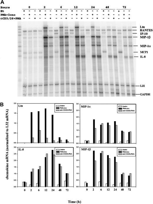 Fig. 1. Modulation of chemokine gene expression following T-cell activation. / Human PBLs were unstimulated or stimulated with PMA+Iono or soluble anti–(α-)CD3 mAb, soluble α-CD28 mAb plus PMA for 0, 2, 6, 12, 24, 48, and 72 hours, as indicated. Total RNA was prepared using Trizol, quantitated using OD260, and analyzed by an RNase protection assay (RPA; see “Materials and methods”). (A) Results of 1 of 2 separate experiments, each using cells from different donors, are shown. MCP-1 was faintly detected but was not observed in subsequent experiments. (B) Chemokine mRNA levels normalized to levels of L32 mRNA were quantitated by PhosphorImager analysis using ImageQuant software.