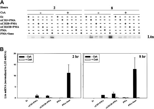Fig. 3. Calcineurin- and activation-dependent regulation of Ltn mRNA in human peripheral blood T cells. / Ltn mRNA levels in human PBLs were assessed by RPA. Cells were treated for 2 and 8 hours with ethanol diluent, anti-CD3 mAb (α-CD3) plus PMA, anti-CD28 mAb (α-CD28) plus PMA, anti-CD3 and ant-CD28 mAb (αCD3/28) plus PMA, PMA alone, or PMA+Iono, in the absence or presence of CsA as indicated. Total RNA was prepared (Figure 1) and RPA carried out as outlined (“Materials and methods”). (A) Results of 1 of 3 separate experiments, each using cells from different donors, are shown. (B) Ltn bands were quantitated and values were normalized to L32 mRNA levels using ImageQuant software; mean values ± SEMs of 3 experiments are graphically represented. Differences between Ltn mRNA following PMA+Iono stimulation were significantly different (P < .01) from baseline at 2 and 8 hours.