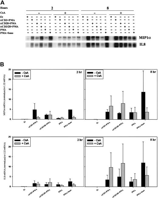 Fig. 5. Differential regulation of MIP-1α and IL-8 mRNA. / MIP-1α and IL-8 mRNA levels were assessed by RPA in human PBLs. Cells were treated as in Figure 2. (A) Results of 1 of 3 separate experiments, each using cells from different donors, are shown. (B) MIP-1α and IL-8 bands were quantitated, and mean values ± SEMs normalized to L32 mRNA levels using ImageQuant software are graphically represented.
