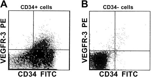 Fig. 1. VEGFR-3 cell-surface expression in human CD34+ cells. / After immunomagnetic separation of CD34+ cells from human fetal liver, the CD34+ and CD34− cell fractions were stained with FITC-labeled anti-CD34 and PE-labeled anti–VEGFR-3 mAbs and analyzed by 2-color flow cytometry. The results indicate that VEGFR-3+ cells are a small subpopulation of CD34+ cells.