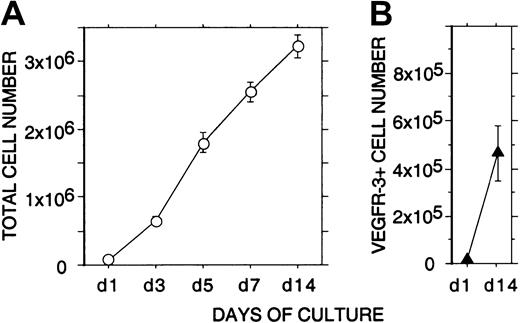 Fig. 4. Expansion of nonadherent VEGFR-3+ cells in liquid culture. / A quantity of 1 × 105 freshly isolated CD34+cells from human fetal liver were incubated for 2 weeks in EC growth medium. (A) The total number of viable nonadherent cells (○) in the cultures was determined at 1, 3, 5, 7, and 14 days. (B) The number of nonadherent VEGFR-3+ cells (▴) in the cultures was determined at 1 and 14 days by flow cytometry. The results are given as means ± SEs of 3 independent experiments. During the 2-week culture, a strong proliferation (more than 40-fold) of nonadherent VEGFR-3+ cells can be seen.