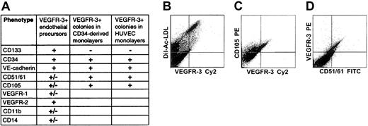 Fig. 5. Flow cytometric analysis of surface marker expression on VEGFR-3+ cells in isolated CD34+ cells, in monolayers generated from isolated CD34+ cells, and in HUVEC monolayers. / Isolated cells coexpress VEGFR-3+ and stem/progenitor cell markers CD133 and CD34 (A). All adherent VEGFR-3+ cells in monolayers derived from isolated CD34+ cells incorporate Ac-LDL, confirming that they are ECs (B). Adherent VEGFR-3+cells expressing endothelial markers CD105 (C) or CD51/61 (D) are also detected. VEGFR-3+ cells found in HUVEC monolayers have a surface marker expression pattern similar to that of adherent VEGFR-3+ ECs derived from CD34+ cells (panel A).