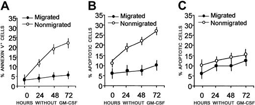 Fig. 2. Kinetics of starvation-induced apoptosis after transendothelial migration. / Peripheral blood adherent mononuclear cells were allowed to transmigrate overnight across HUVEC monolayers. Nonmigrated (○) and migrated (●) cells were cultured in the absence of growth factors (A-B), or with GM-CSF (C), collected at the indicated time points, and stained with FITC–annexin V and PI. Samples were then analyzed on a FACSort and results plotted as a percentage of annexin V+(A) or percentage of apoptotic (DNA content < 2n-diploid) cells (B-C). Mean values ± SDs from 6 different experiments are shown.