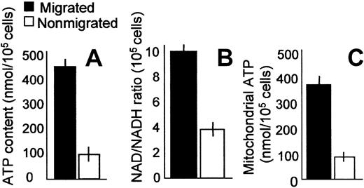 Fig. 4. Increased mitochondrial ATP and NAD/NADH ratio in migrated cells. / ATP content (A,C) and NAD/NADH ratio (B) were measured in migrated (▪) and nonmigrated (■) cells. Results are expressed as nmol/105 cells or as NAD/NADH ratio/105 cells as indicated; in some experiments, ATP was measured in purified mitochondria obtained by subcellular fractionation (C). Results are expressed as the means ± SDs from 4 independent experiments.