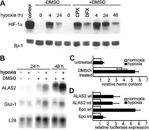 Fig. 1. Oxygen-regulated ALAS2 expression. / (A) Immunoblot analysis of nuclear proteins (80 μg) prepared from undifferentiated and DMSO-treated MEL cells cultured under normoxic or hypoxic conditions. Hypoxic HeLa cells were used as a positive control. The iron chelators CPX and DFX were added where indicated, and cells were cultured under normoxic conditions. HIF-1α was detected by using a chicken anti–HIF-1 polyclonal antibody immunoglobulin Y (IgY), described previously,25 followed by a rabbit anti–chicken horseradish peroxidase–coupled secondary antibody. The signal obtained with an anti–Sp-1 antibody was used as a control for loading and transfer efficiency. (B) Representative Northern blot of undifferentiated and DMSO-treated MEL cells cultured under normoxic or hypoxic conditions. The same blot was subsequently hybridized with the indicated cDNA probes. The ribosomal protein L28 cDNA probe was used to correct for loading differences. (C) Measurement of heme pseudoperoxidase activity in undifferentiated and DMSO-treated MEL cells cultured under normoxic or hypoxic conditions for 48 hours. Heme activity was determined by colorimetry based on 2,7-diaminofluorene. Relative activity units were normalized to the normoxic pseudoperoxidase activity of undifferentiated MEL cells, which was arbitrarily defined as 1. Means ± SDs of 3 independent experiments are shown. (D) Luciferase reporter gene assays of transiently transfected HeLa cells cultured under normoxic or hypoxic conditions for 16 hours. ALAS2 promoter–driven firefly luciferase expression plasmids contained either a wild-type (pTH10) or mutant (pTH15) putative HBS. A simian virus 40 (SV40) promoter–driven luciferase reporter gene construct, containing 3 copies of either wild-type or mutant erythropoietin (EPO) 3′ enhancer–derived HBSs, served as a control. A cotransfected renilla luciferase expression vector served as an internal control for transfection efficiency and extract preparation. Relative light units were normalized to the normoxic firefly luciferase activities, which were arbitrarily defined as 1. Means ± SDs of 7 independent transfections are shown.