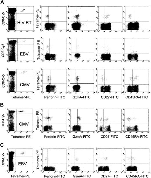 Fig. 1. Representative dot plots of HIV tetramer–positive CD8 T cells stained for markers associated with cytotoxic function. / Samples from HIV-infected, long-term asymptomatic donor CW5 (A) and healthy donors (B-C) were stained for CD8, indicated tetramer, and perforin, GzmA, CD27, or CD45RA. The left panel of each row depicts the dot plot after gating tightly on lymphocytes; all other panels are gated on CD8brightlymphocytes. In the HIV-infected donor, HIV-specific cells are CD27+ and CD45RA−, whereas the EBV- and CMV-specific cells in the same donor are more heterogeneous in their expression of these markers. The sample in panel B from a healthy donor was one of the few samples with a high frequency of perforin-staining, tetramer-positive cells.
