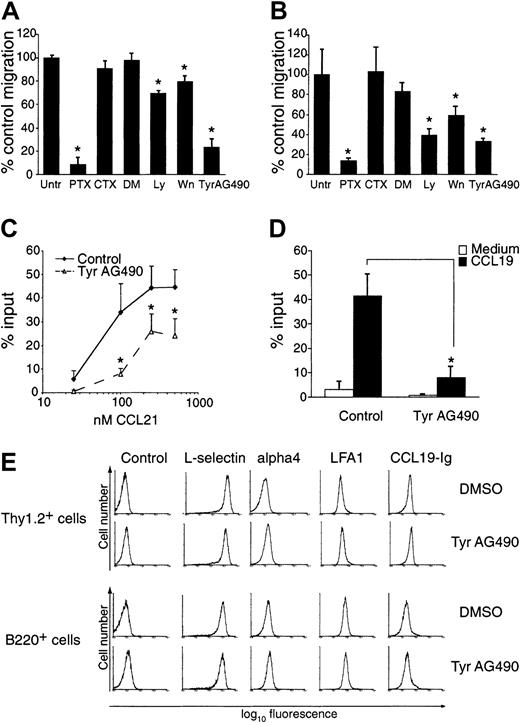 Fig. 1. Effect of Tyr AG490 and other chemokine inhibitors on lymphocyte chemotaxis to CCL21 and CXCL12. / Freshly isolated mouse lymphocytes were treated with inhibitors and allowed to migrate in a chemotaxis assay as described in “Materials and methods.” (A) Migration toward 100 nM CCL21. Data are pooled from 3-6 independent experiments and expressed as means ± SDs of percent control migration. (B) Migration toward 50 nM CXCL12. Data are pooled from 3-4 independent experiments. For panels A and B, Untr indicates untreated; PTX, pertussis toxin; CTX, cholera toxin; DM, DMSO; Ly, Ly294002; Wn, wortmannin; *P < .05 versus untreated (control). (C) Migration of control (DMSO)– and Tyr AG490–treated lymphocytes toward different CCL21 concentrations (n = 3-6). (D) Migration of control (DMSO)– and Tyr AG490–treated lymphocytes to 100 nM CCL19 (n = 3). All asterisks indicate P < .05. (E) Similar expression of adhesion molecules and CCR7 in control- and Tyr AG490–treated Thy1.2- and B220-positive cells. Flow cytometric analysis was carried out with mAbs as described in “Material and methods” and analyzed on a Coulter XL flow cytometer. For detection of CCR7 expression, CCL19-Ig was employed.