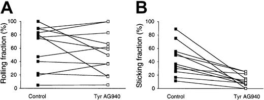 Fig. 4. Firm adhesion, but not rolling, of Tyr AG490–treated lymphocytes is impaired in PLN HEVs. / The behavior of fluorescently labeled control- and Tyr AG490–treated lymphocytes was directly observed in the PLN microcirculation as described in “Materials and methods.” (A) Rolling fraction of lymphocytes in HEVs. Rolling fractions of control and Tyr AG490–treated lymphocytes obtained in identical HEVs are connected by a line. There is no significant difference between both samples (P = .33). (B) Sticking fraction of lymphocytes in HEVs. Sticking fractions of control and Tyr AG490 lymphocytes obtained in identical HEVs are connected by a line. Firm adhesion is significantly reduced in Tyr AG490–treated lymphocytes (P < .001) (n = 6 animals/11 venules analyzed).