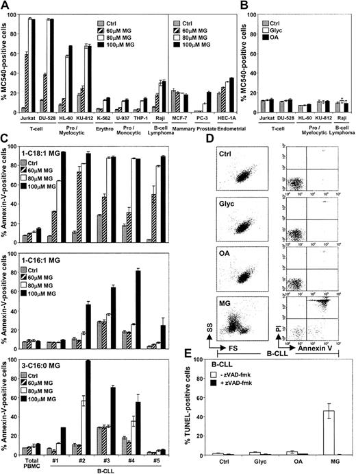 Fig. 1. Monoglycerides induce cell death in various leukemic cell lines and in primary leukemic B-CLL cells. / (A) Several human cancer cell lines corresponding to either T-cell leukemia (Jurkat and DU-528), promyelocytic (HL-60) or myelocytic (KU-812) leukemia, erythroleukemia (K-562), promonocytic (U-937) or monocytic (THP-1) leukemia, B-cell lymphoma (Raji), mammary adenocarcinoma (MCF-7), prostate adenocarcinoma (PC-3), or endometrial adenocarcinoma (HEC-1A) were incubated with the vehicle alone (1% ethanol; Ctrl; gray bars), 60 μM (hatched bars), 80 μM (white bars), or 100 μM (black bars) 1-C18:1 monoglyceride (MG). After 24-hour (left panel) or 48-hour (right panel) stimulation, cells were stained with MC540. Results are shown as mean percentages of MC540-positive cells ± SD obtained from triplicates. (B) The most susceptible cell lines from panel A were stimulated with the vehicle (Ctrl; gray bars), 100 μM glycerol (Glyc; white bars), or 100 μM oleic acid (OA; black bars) for 24 hours and stained with MC540. Results are shown as mean percentages of MC540-positive cells ± SD obtained from triplicates. Noteworthy is the fact that controls with the vehicle (1% ethanol) gave similar background as medium alone (not shown). (C) Purified B cells obtained from B-CLL patients or total normal PBMCs obtained from a healthy donor were incubated with the vehicle (Ctrl; gray bars), 60 μM (hatched bars), 80 μM (white bars), or 100 μM (black bars) 1-C18:1 monoglyceride (MG; top panel), 1-C16:1 monoglyceride (middle panel), or 3-C16:0 monoglyceride (bottom panel). Following a 3-hour treatment, cells were stained with annexin V. Results are shown as mean percentages of annexin V–positive cells ± SD from triplicates. Similar results were obtained for normal PBMCs from 3 different healthy individuals. (D) B-CLL cells obtained from patient no. 5 were incubated for 3 hours with the vehicle (Ctrl), 100 μM glycerol (Glyc), 80 μM oleic acid (OA), or 80 μM 1-C18:1 monoglyceride (MG). The cells were labeled with annexin V and PI. Flow cytometric analysis of forward scatter (FS) versus side scatter (SS) and annexin V versus PI profiles are shown for each condition. Each profile is a representative from triplicates. (E) B-CLL cells from patient no. 5 were incubated for 6 hours with the vehicle (Ctrl), 100 μM glycerol (Glyc), 80 μM oleic acid (OA), or 80 μM 1-C18:1 monoglyceride (MG), either in the absence (white bars) or the presence (black bars) of 50 μM zVAD-fmk and labeled by the TUNEL assay. Results are shown as mean percentages of TUNEL-positive cells ± SD from triplicates.