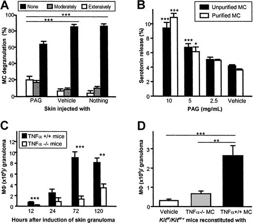 Fig. 2. Induction of cutaneous granuloma formation by PAG depends on release of TNFα by MCs. / (A) MCs in the direct vicinity of early PAG-induced CGs exhibit signs of profound degranulation. As assessed by quantitative histomorphometry, the extent of MC degranulation 1 hour after PAG injection in C57BL/6 mice was scored as “none” (< 10% of granules exhibited staining alterations and/or exteriorization), “moderate” (10%-50%), or “extensive” (> 50%), and expressed as means ± SEMs (data pooled from 5 mice). (B) Unpurified (purity about 1%) and purified (purity > 95%) peritoneal MCs of C57BL/6 mice release serotonin after incubation with PAG. Data were pooled from 3 independent experiments and expressed as means ± SEMs. (C) TNFα-deficient mice exhibit reduced recruitment of MΦ to sites of CG formation after injection of PAG compared with wild-type mice. Data were pooled from 5 or more mice per genotype and time point in 3 independent experiments. (D) Migration of MΦ to granulomas inKitW/KitW-v mice 12 hours after induction is repaired only by reconstitution of the skin with connective tissue–type MCs obtained from TNFα+/+ mice, but not after reconstitution with MCs from TNFα-deficient mice. Data were pooled from 8 or more mice per genotype in 2 independent experiments. Data in all panels are shown as means ± SEMs. *P < .05, **P < .005, ***P < .001.