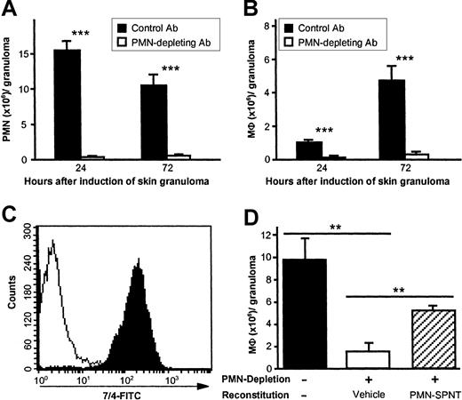 Fig. 4. PMN influx is required for MΦ recruitment during early cutaneous granuloma formation. / C57BL/6 mice pretreated with PMN-depleting mAb NIMP-R14 (intravenously, 100 μg, −1 hour) exhibit virtually no recruitment of MΦ to sites of PAG-induced CG formation compared with control Ab-treated mice. Numbers of PMNs (A) and MΦ (B) per CG were assessed 24 hours and 72 hours after injection of PAG. Data were pooled from 5 or more mice per treatment group and time point in 2 independent experiments. Data are shown as means ± SEMs (106 cells/granuloma). ***P < .001. (C) PMNs were isolated from CGs 12 hours after injection of biogel and were stained for anti–neutrophil Ab clone 7/4 (black area, anti–neutrophil Ab; white area, isotype control). Purity of isolated PMNs was determined to be > 99%; one experiment of at least 5 is shown. In panel D, groups of 3 C57BL/6 mice were depleted from PMNs using mAb 7/4 (100 μg intravenously, at −6 hours and +18 hours), and CGs were reconstituted locally twice daily with 0.5 mL/granuloma of either vehicle alone or PMN supernatant (PMN-SPNT). MΦ numbers were determined after 48 hours and are expressed as means ± SEMs (106 cells/granuloma). **P < .005. Data are representative of 3 independent experiments.