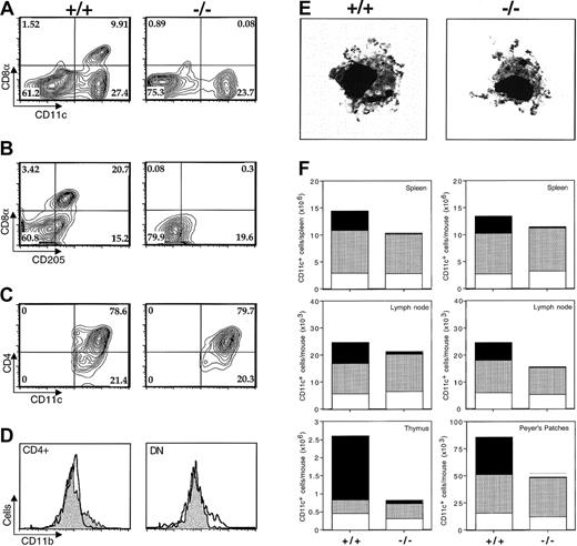 Fig. 2. ICSBP-deficient mice present a systemic and selective loss of CD11c+CD8α+DEC205+ DCs. / (A) CD8α and CD11c staining in low-density (LOD) mouse spleen cells from wild-type (left panels, +/+) or ICSBP−/− (right panels, −/−) animals. (B) DEC-205 and CD8α staining of the same populations after gating on CD11c+ cells. (C) CD4 expression in LOD cells gated on CD11c+CD8α−. Experiment shown is representative of 3 performed. (D) CD11b expression on CD4+(left panel) and DN (right panel) CD11c+ populations in wild-type (filled pattern) and ICSBP−/− (open pattern) spleens. (E) Representative Giemsa-stained purified CD11c+DCs from wild-type (left panel) versus ICSBP−/− spleen (right panel). Original magnification, × 400 for both panels in 2E. (F) Analysis of CD11c+ cell levels in spleen, lymph node, Peyer patches, and thymus of wild-type (left-hand bars in each panel) or ICSBP−/− (right-hand bars) animals. The different segments of each bar represent the proportion of CD8α+ (black pattern), CD4+ (dotted pattern), and double-negative (DN, open pattern) cells present in each population. The difference in the ratio of CD8α+ cells in this figure versus that in Figure 2A may be related to the higher total cell numbers in ICSBP−/−(55 ± 3.9 × 107) versus wild-type (15 ± 1.9 × 107) spleen resulting in a smaller apparent CD8α+ cell reduction. Bars represent means ± SDs of absolute numbers of DCs per mouse (n = 5).