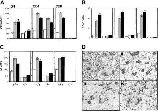 Fig. 4. Impaired functional maturation of ICSBP−/−CD8α− DCs in vivo. / Wild-type control and ICSBP−/− mice were injected intraperitoneally with PBS (0.2 mL/mouse) or 1 μg oligo-CpG DNA orE coli LPS. Six hours later low-density spleen cells were purified and the expression of CD40 (A), CD80 (B), and I-A (C) was analyzed by FACS within the cells of the DC subsets: CD11c+CD8α+CD4− (DN), CD11c+CD8α−CD4+ (CD4), CD11c+CD8α+CD4− (CD8) as indicated. Bars represent mean fluorescence intensity (MFI) ± SEM of each marker in each subset analyzed. (D) Representative micrographs of CD11c-stained spleen sections from wild-type (i and ii) or ICSBP−/− (iii and iv) mice injected with PBS (i and iii) or LPS (ii and iv) as described above. Orginal magnifications, × 200.