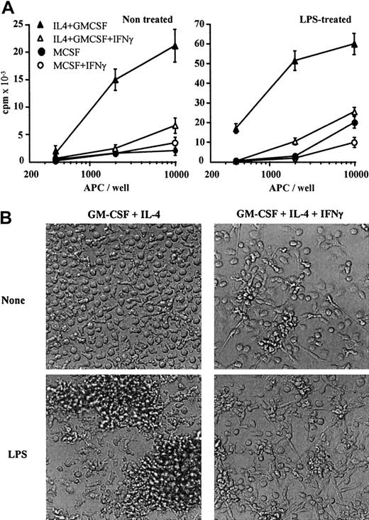 Fig. 1. IFN-γ shifts monocyte differentiation from DCs to macrophages. / (A) Monocytes were cultured in medium containing M-CSF (circles) or GM-CSF plus IL-4 (triangles) in the absence (filled symbols) or presence (open symbols) of 25 ng/mL IFN-γ. After 5 days, cells were (right panel) or were not (left panel) stimulated for 24 hours with 20 ng/mL LPS. Cells were then irradiated and used to stimulate allogenic T cells. Results are expressed in counts per minute × 10−3as means ± SDs of quintuplicate values. Results shown are of 1 experiment representative of 3. Results show mean SD of quintuplicate values of 1 experiment representative of 3. (B) Monocytes were cultured in GM-CSF plus IL-4 in the absence (left) or presence of 25 ng/mL IFN-γ (right). After 5 days, cells were (top) or were not (bottom) stimulated for 24 hours with 20 ng/mL LPS and observed by microscopy (original magnification, × 100).