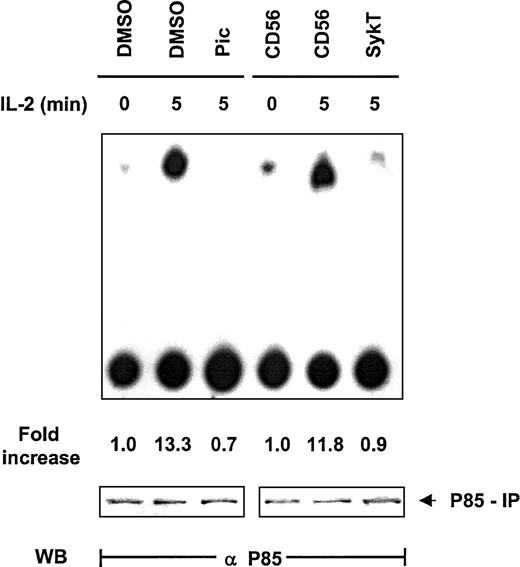 Fig. 3. Suppression of IL-2–induced PI 3-kinase activation by inhibiting Syk. / IL-2–starved NK92 cells, treated with 25 μM piceatannol or infected with recombinant vaccinia virus encoding SykT or CD56 irrelevant control gene, were stimulated with IL-2 (100 U/mL) for 5 minutes at 37°C. Cells were then analyzed for PI 3-kinase activity by in vitro kinase assay and thin-layer chromatography analysis with PI3,4P2 as the substrate. Results are representative of 1 of 3 independent experiments.